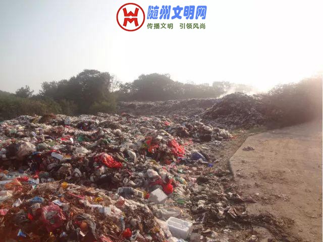 15314307832450cafd24e9e.jpg