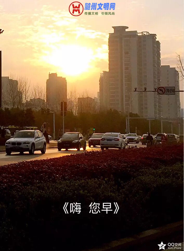 B6124F95-88F5-49DD-8428-1305A9D0B779.jpeg