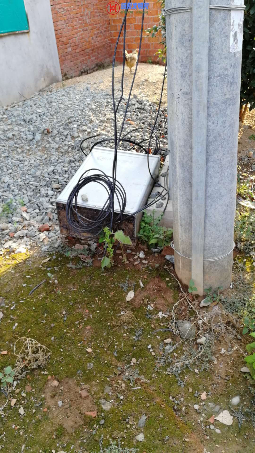 ΢ͼƬ_20180729195603.jpg