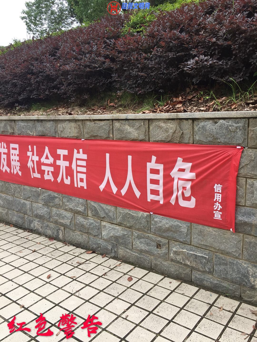 6FDCA811-1C48-4A92-85E9-AFDC300E36BE.jpeg