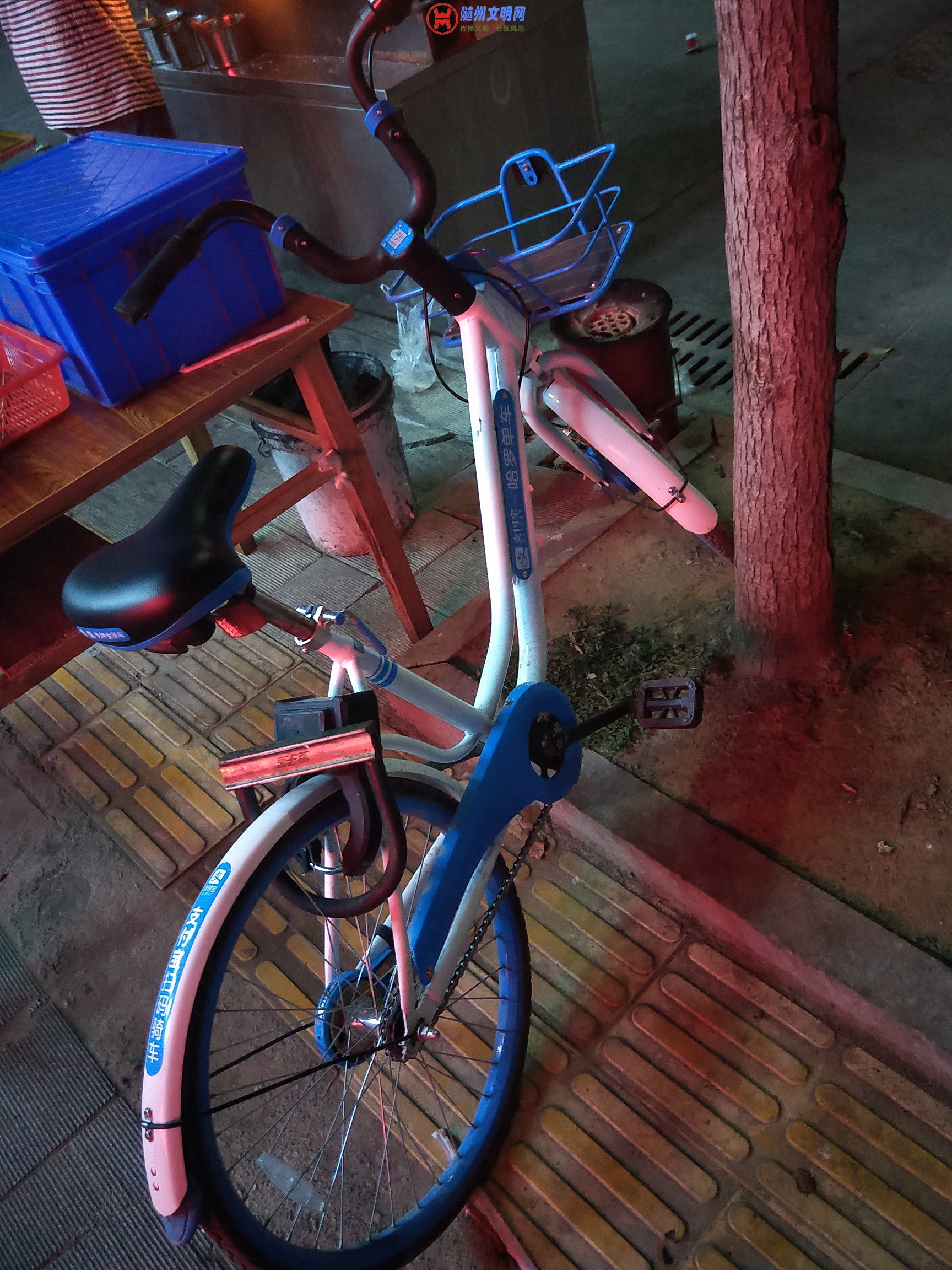 IMG20180810194637.jpg