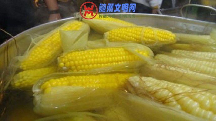 t018f37f1f7a05ebbbd.jpg