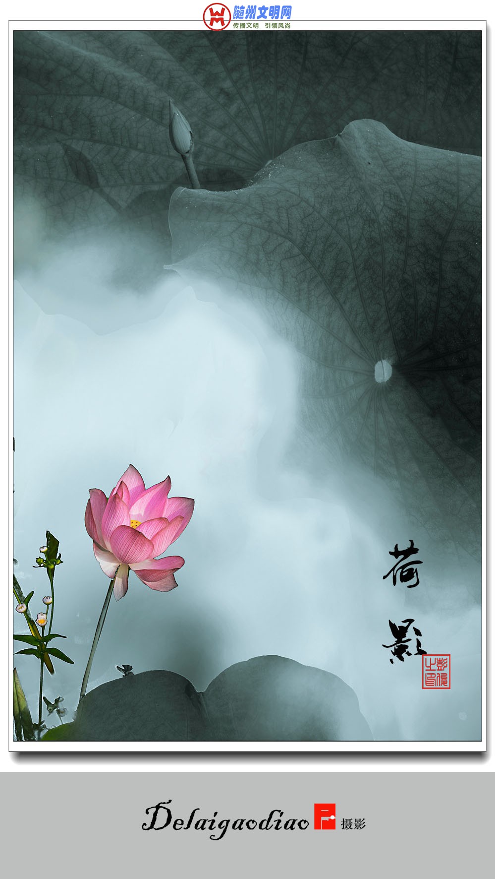 6081_副本.jpg