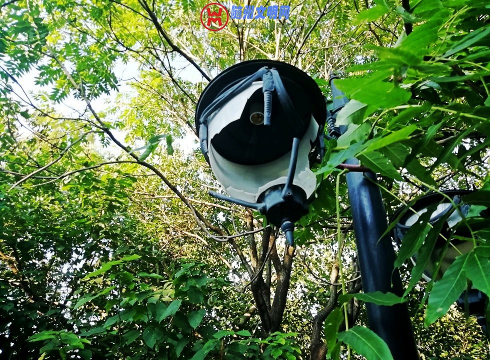 conew_img_20180820_175320_conew3.jpg