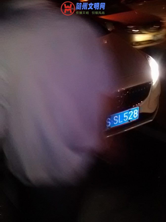 2  s SL528.jpg
