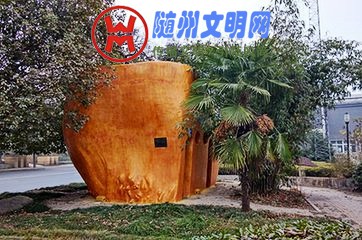 t01dce85e1098b7465b_conew1.jpg