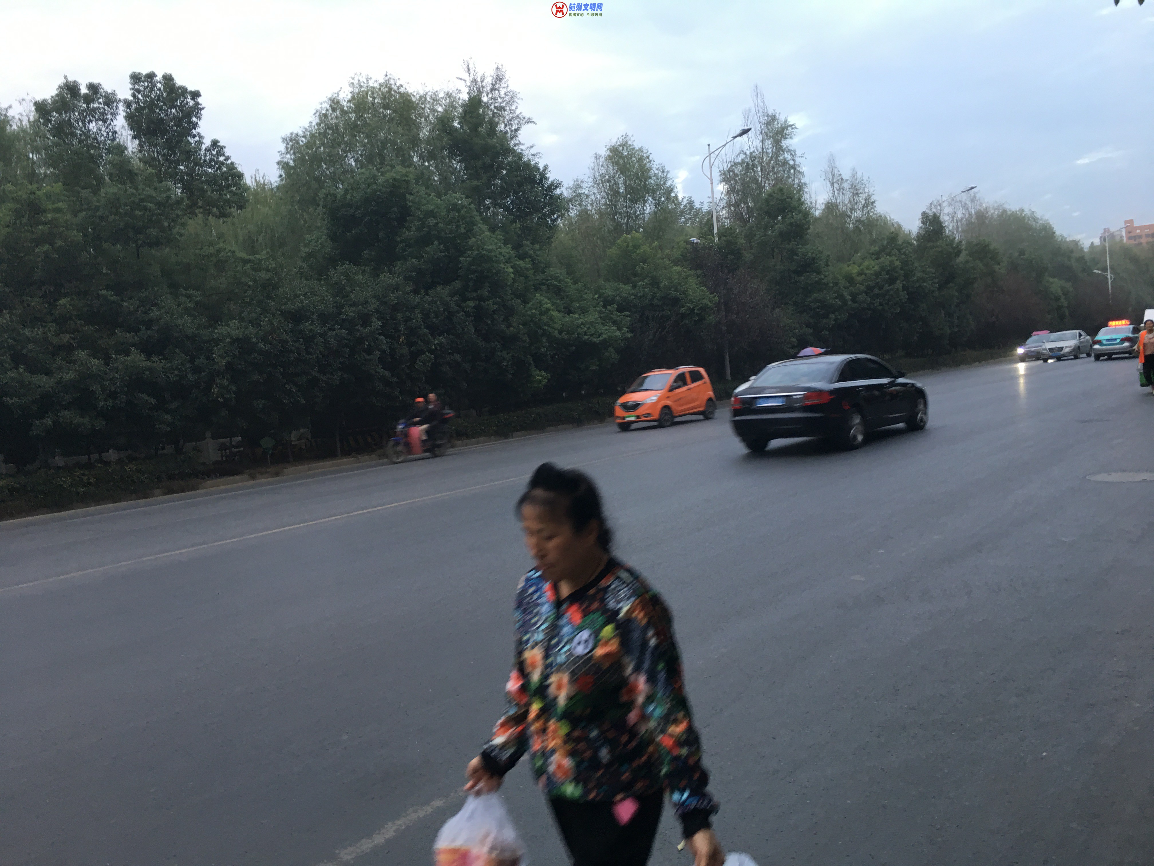 05122F77-B665-4870-8F56-60231A8040EE.jpeg