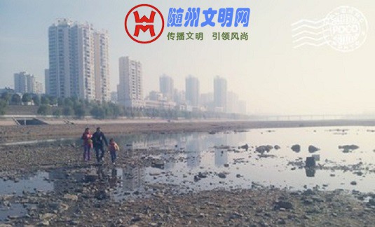 t01da10429f8849b86c.jpg