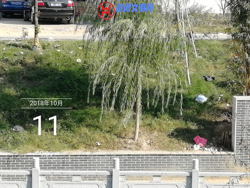 5_.jpg