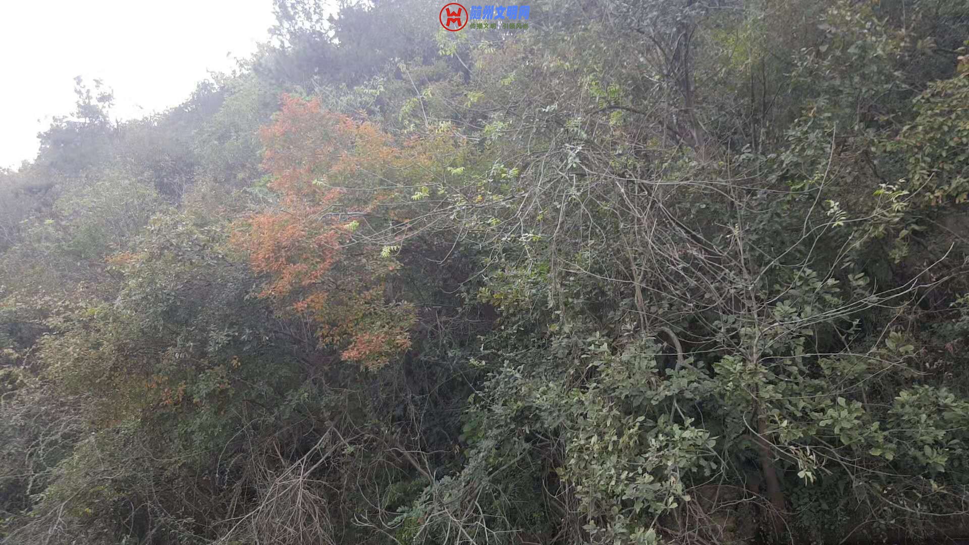 ΢ͼƬ_20181013162101 - .jpg