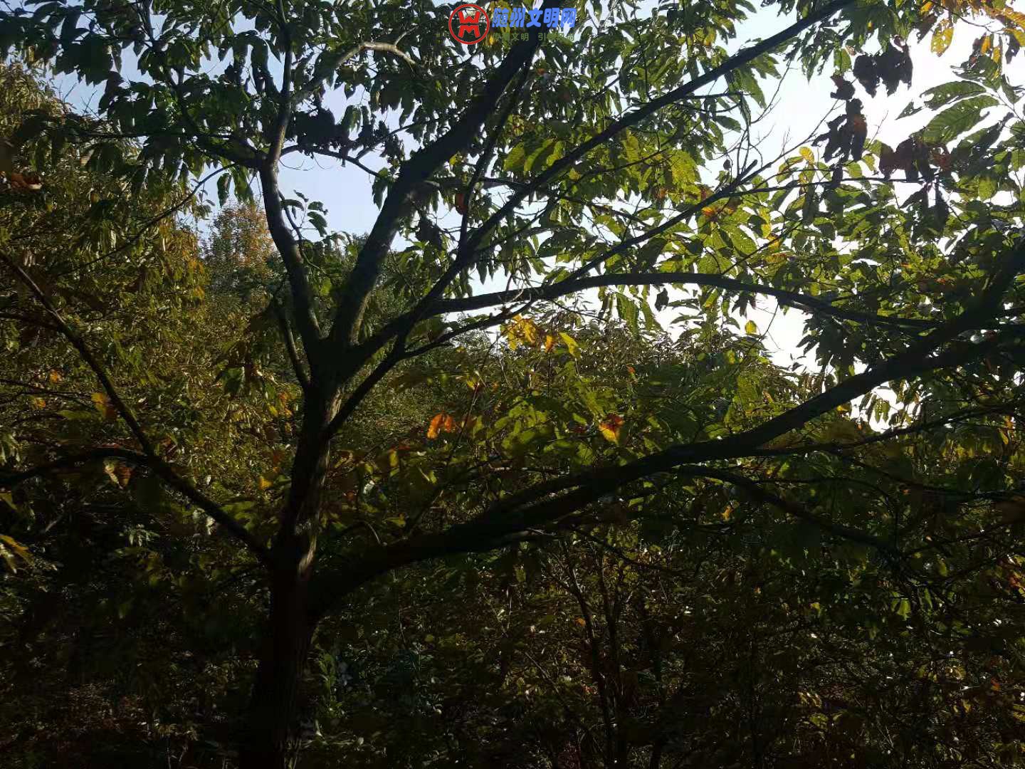 ΢ͼƬ_20181013162019.jpg