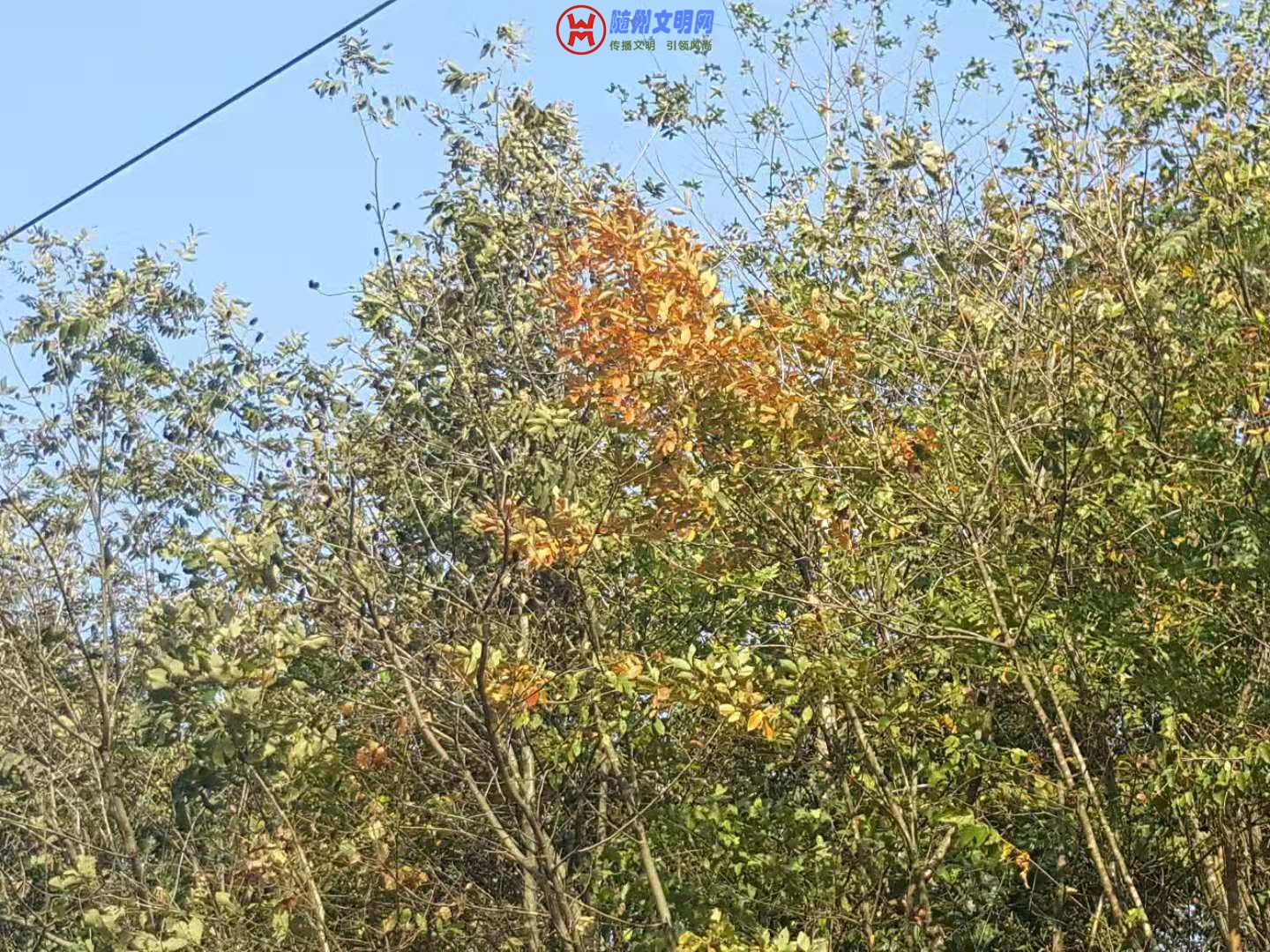 ΢ͼƬ_20181013162027 - .jpg