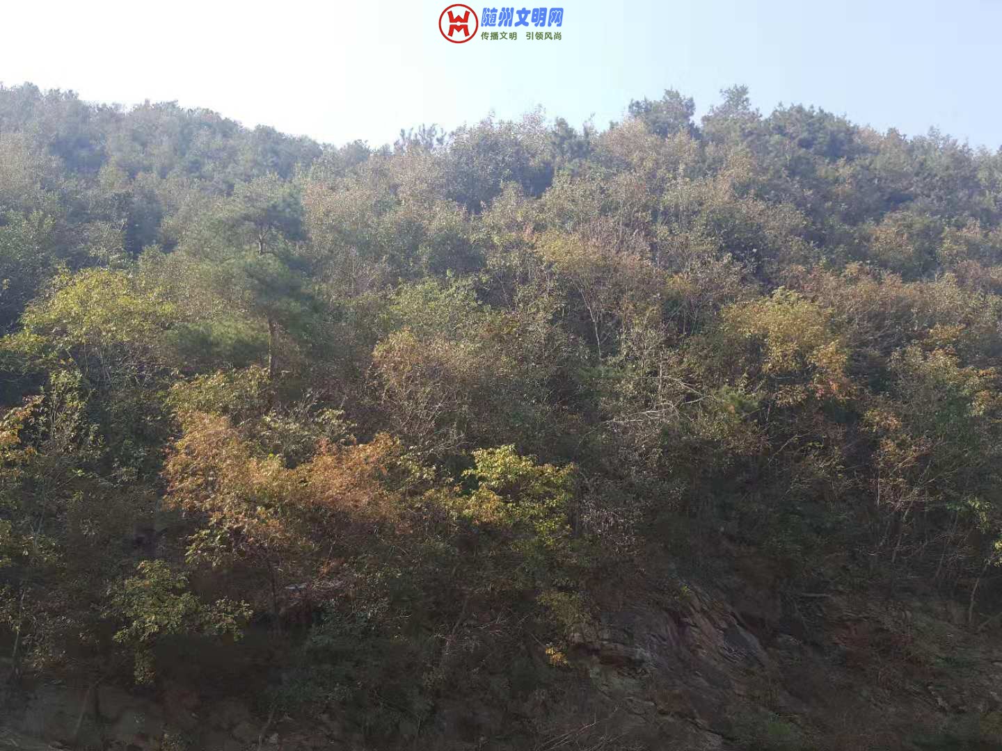 ΢ͼƬ_20181013161928.jpg