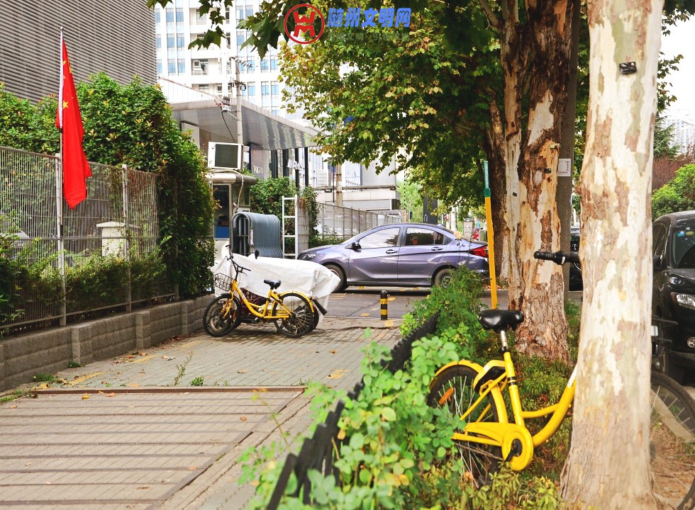 conew_dsc_0753_conew1.jpg