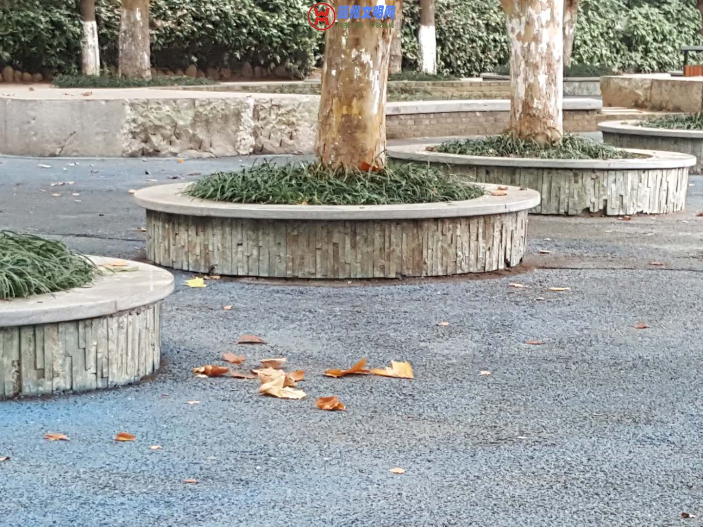 ΢ͼƬ_20181016223120.jpg