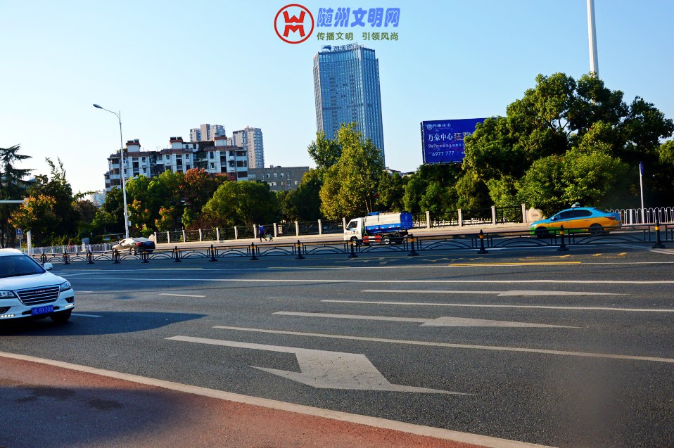 DSC_0281_conew1.jpg