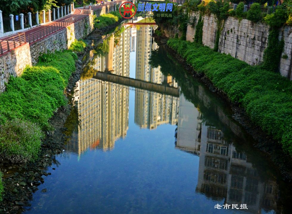 conew_dsc_0280_conew1.jpg