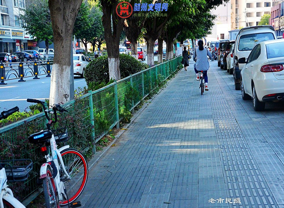conew_dsc_0297_conew1.jpg