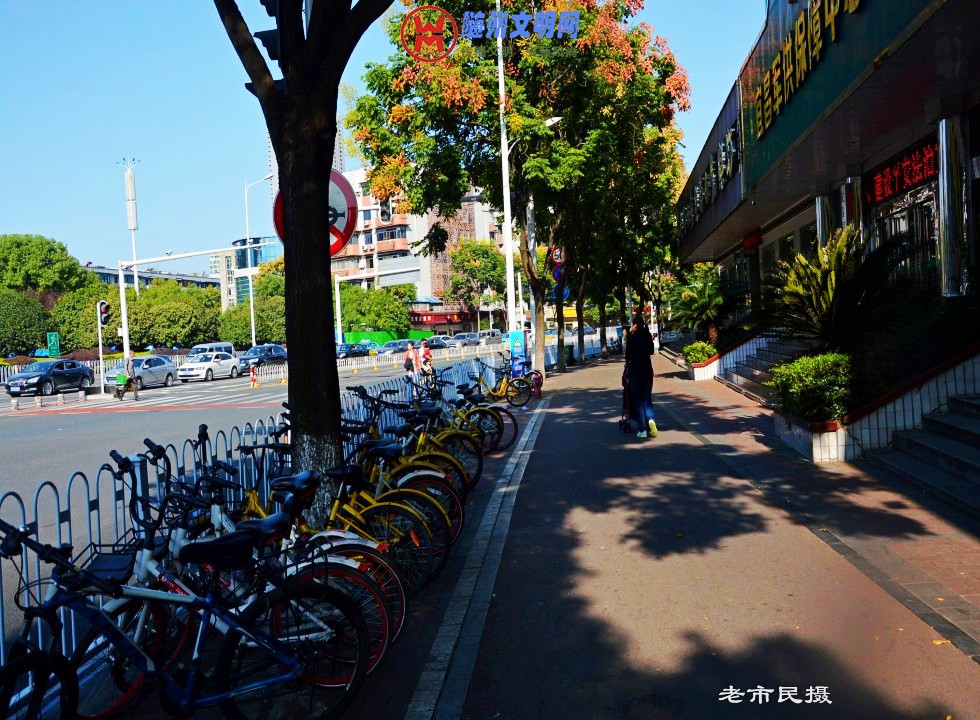 conew_dsc_0370_conew1.jpg