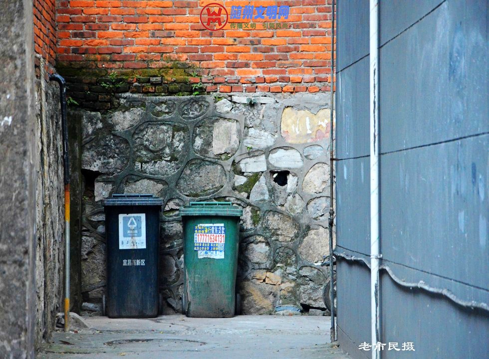 conew_dsc_0318_conew1.jpg