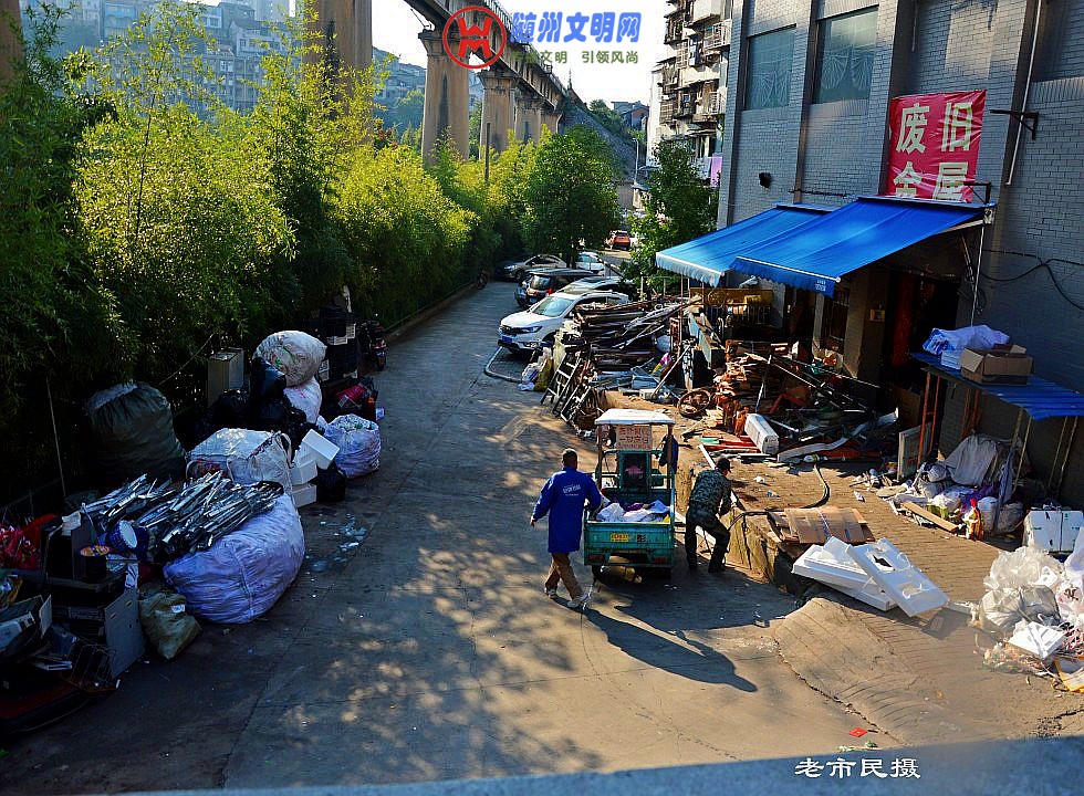 conew_dsc_0293_conew1.jpg