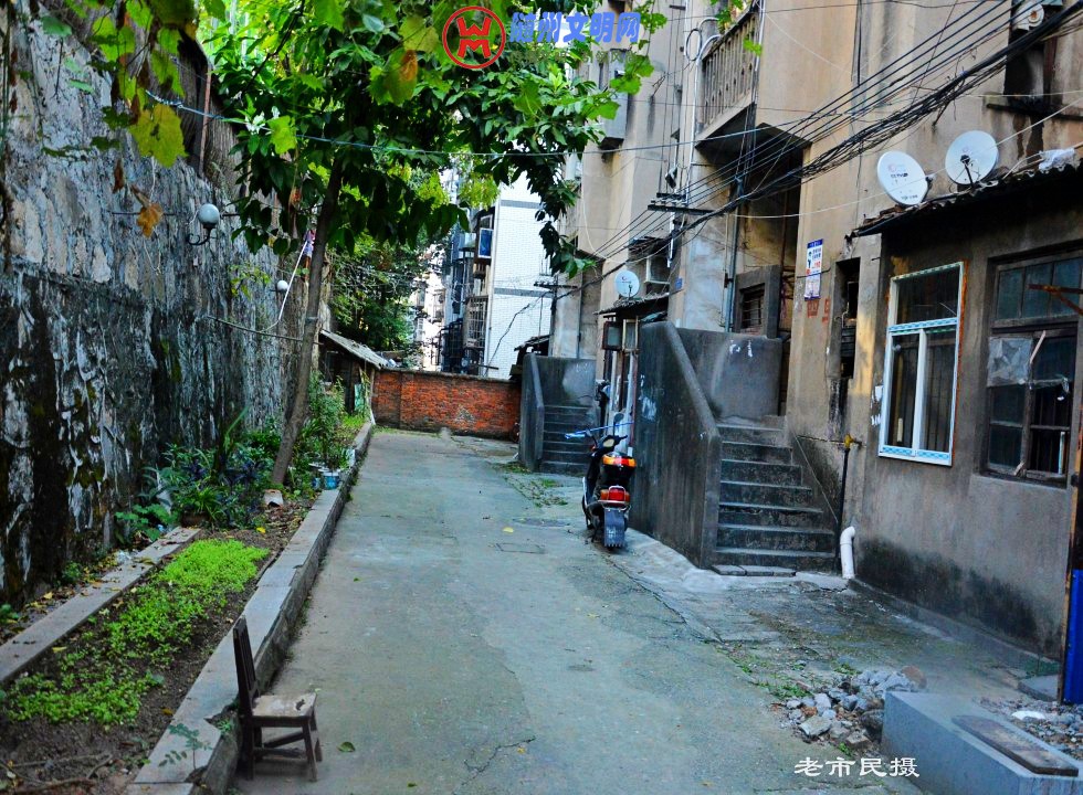 conew_dsc_0324_conew1.jpg