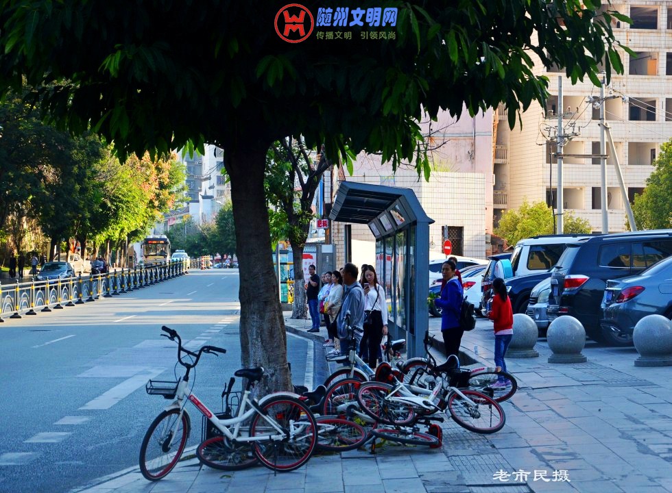 conew_dsc_0299_conew1.jpg