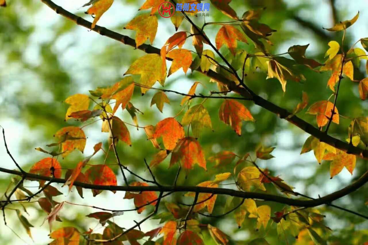 ΢ͼƬ_20181027223520.jpg