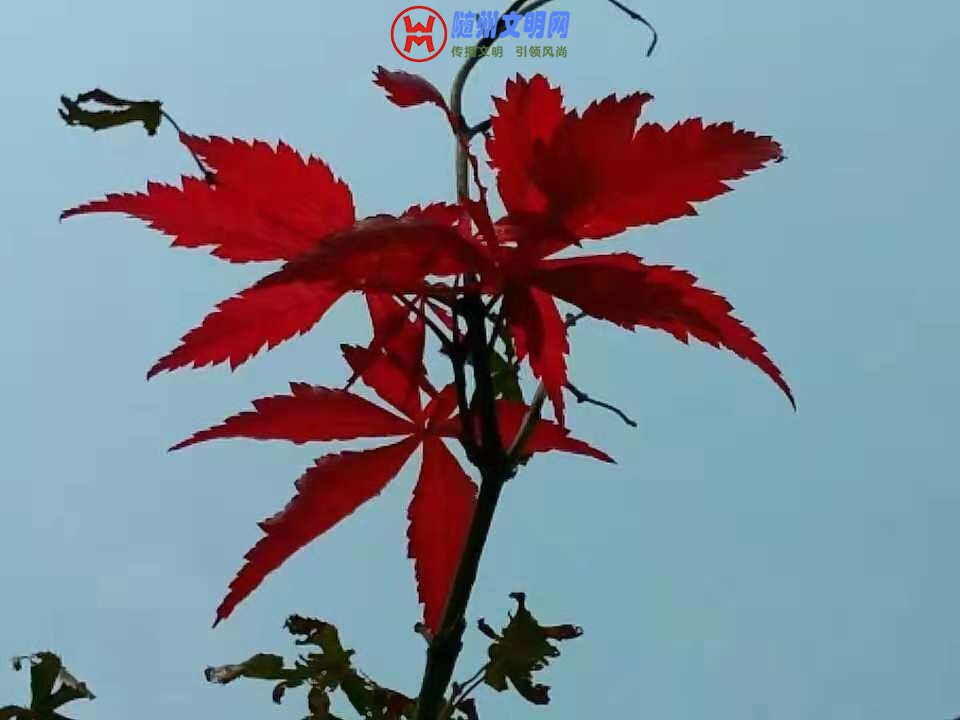 ΢ͼƬ_20181027223450 - .jpg