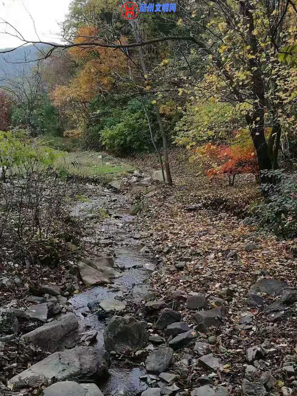΢ͼƬ_20181027223515.jpg