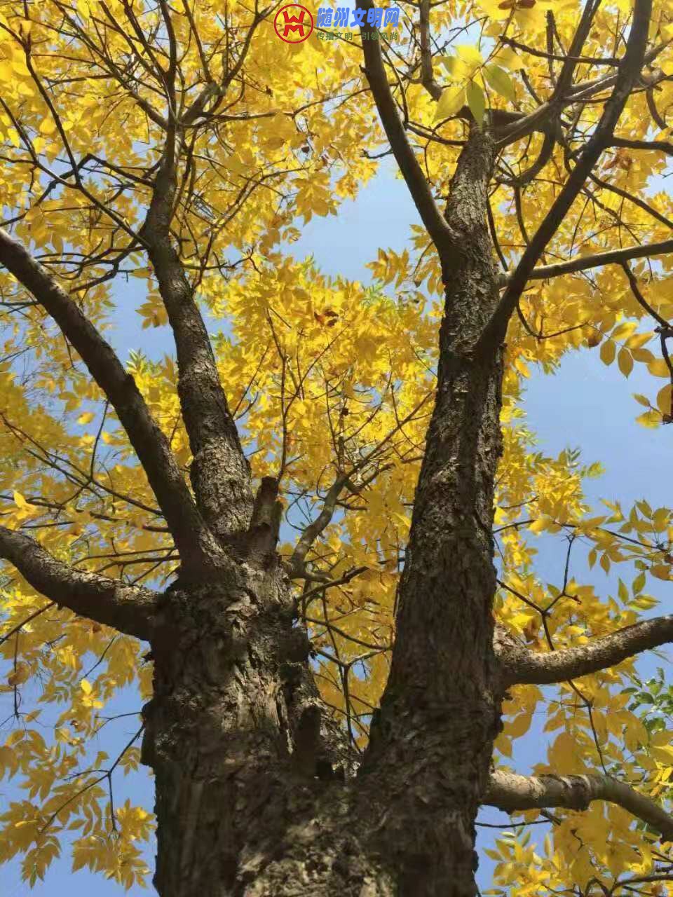 ΢ͼƬ_20181027223526.jpg