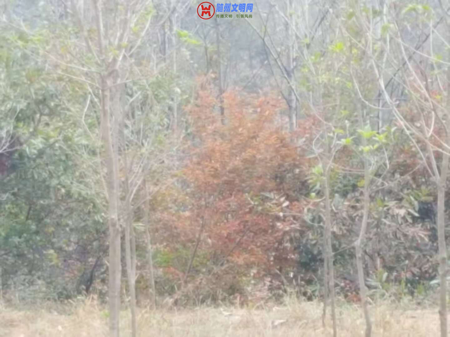 ΢ͼƬ_20181027223558.jpg