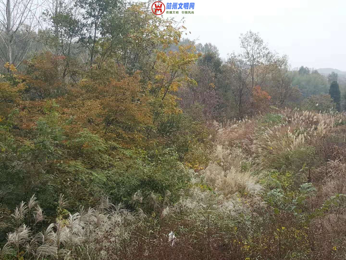 ΢ͼƬ_20181027223605.jpg