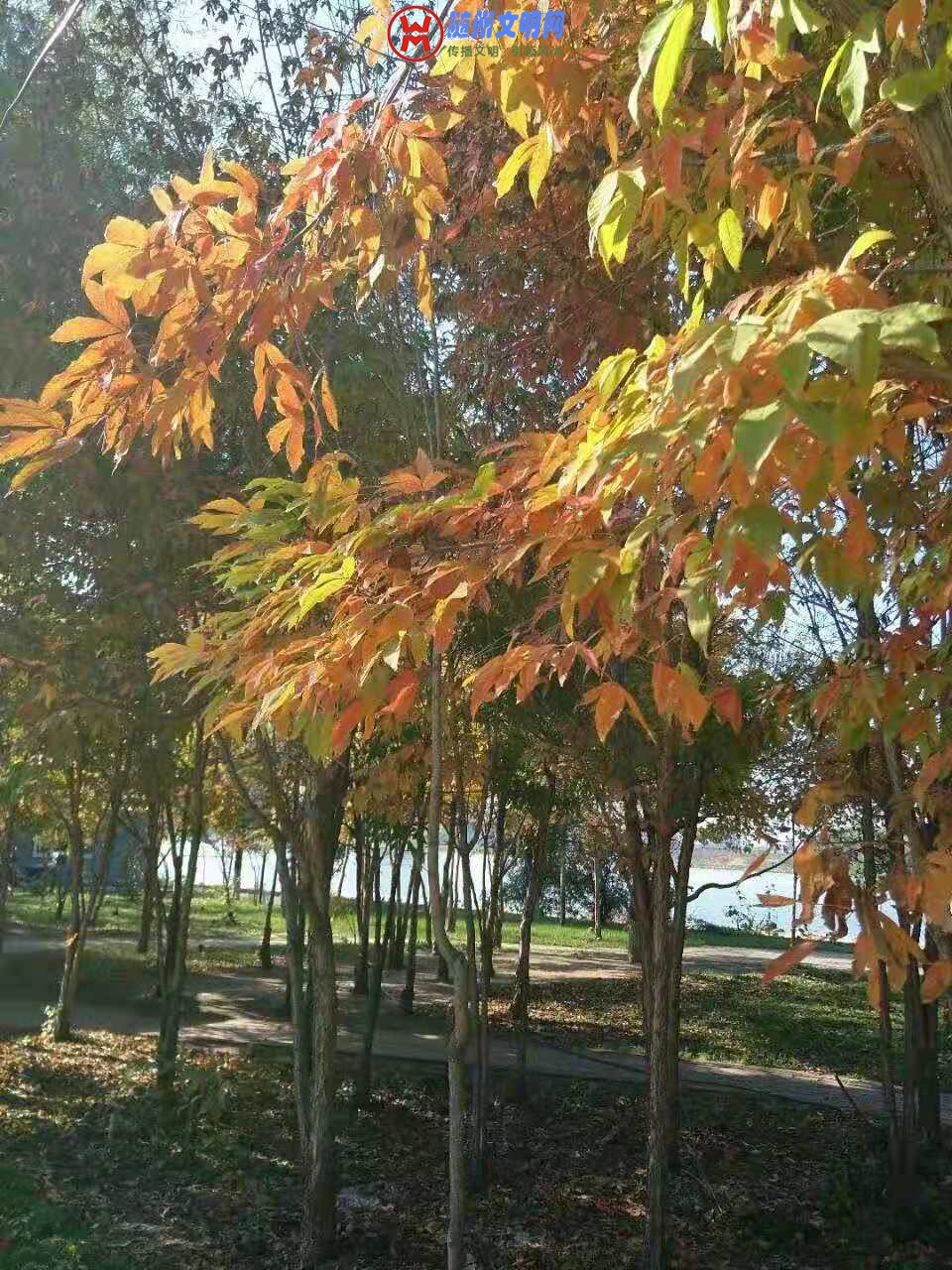 ΢ͼƬ_20181027223534.jpg