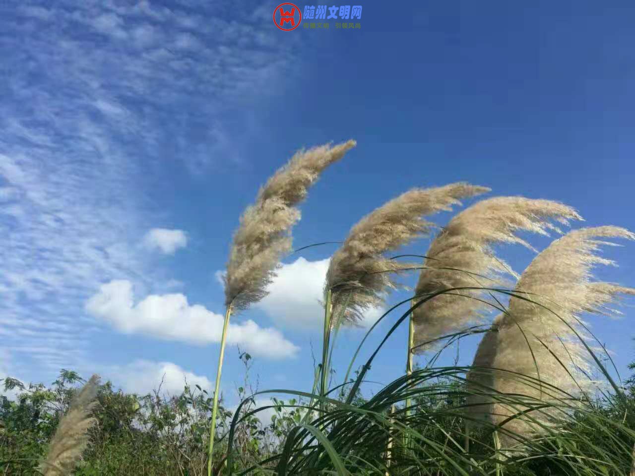 ΢ͼƬ_20181027223539.jpg