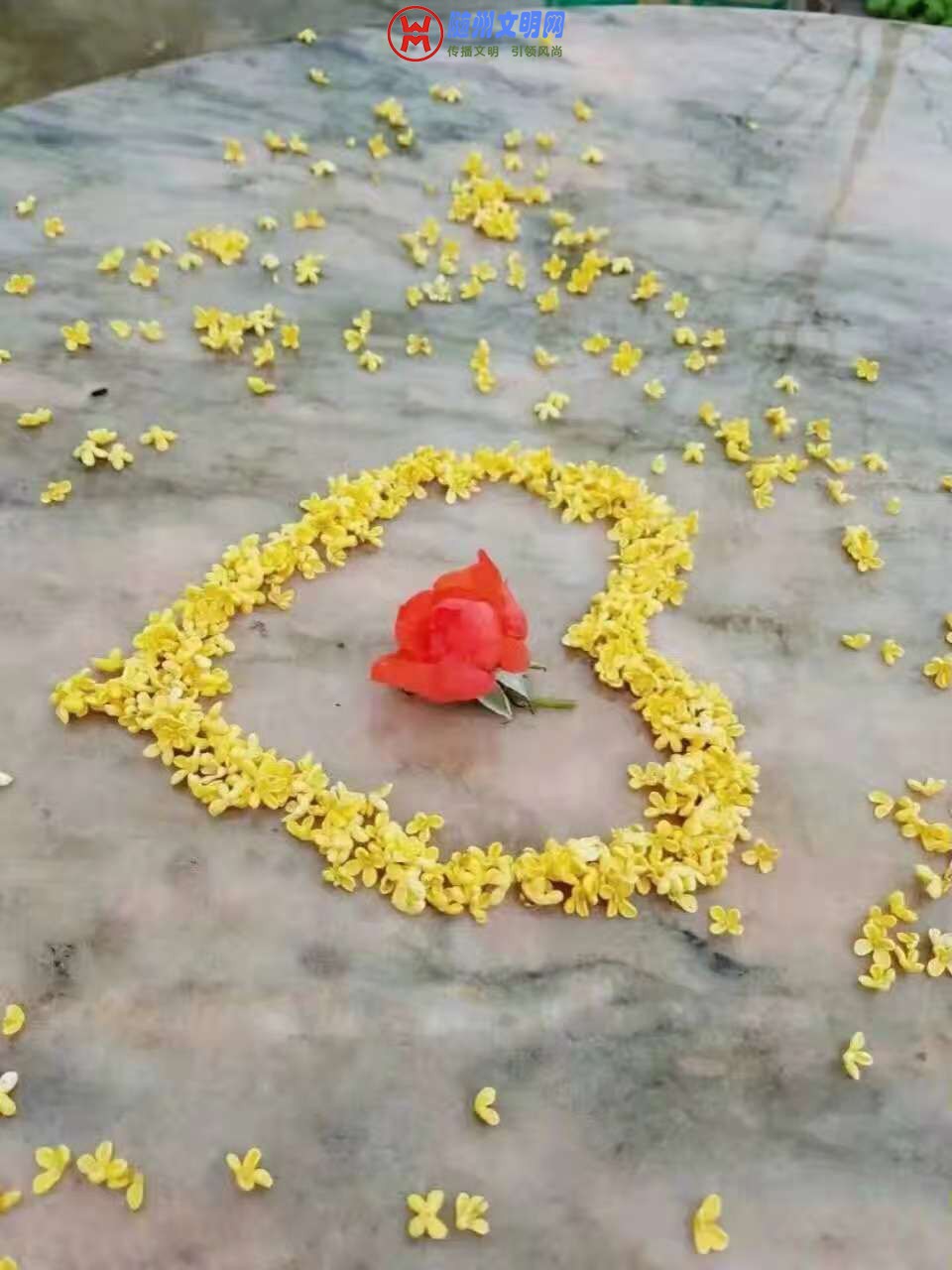 ΢ͼƬ_20181027222646.jpg