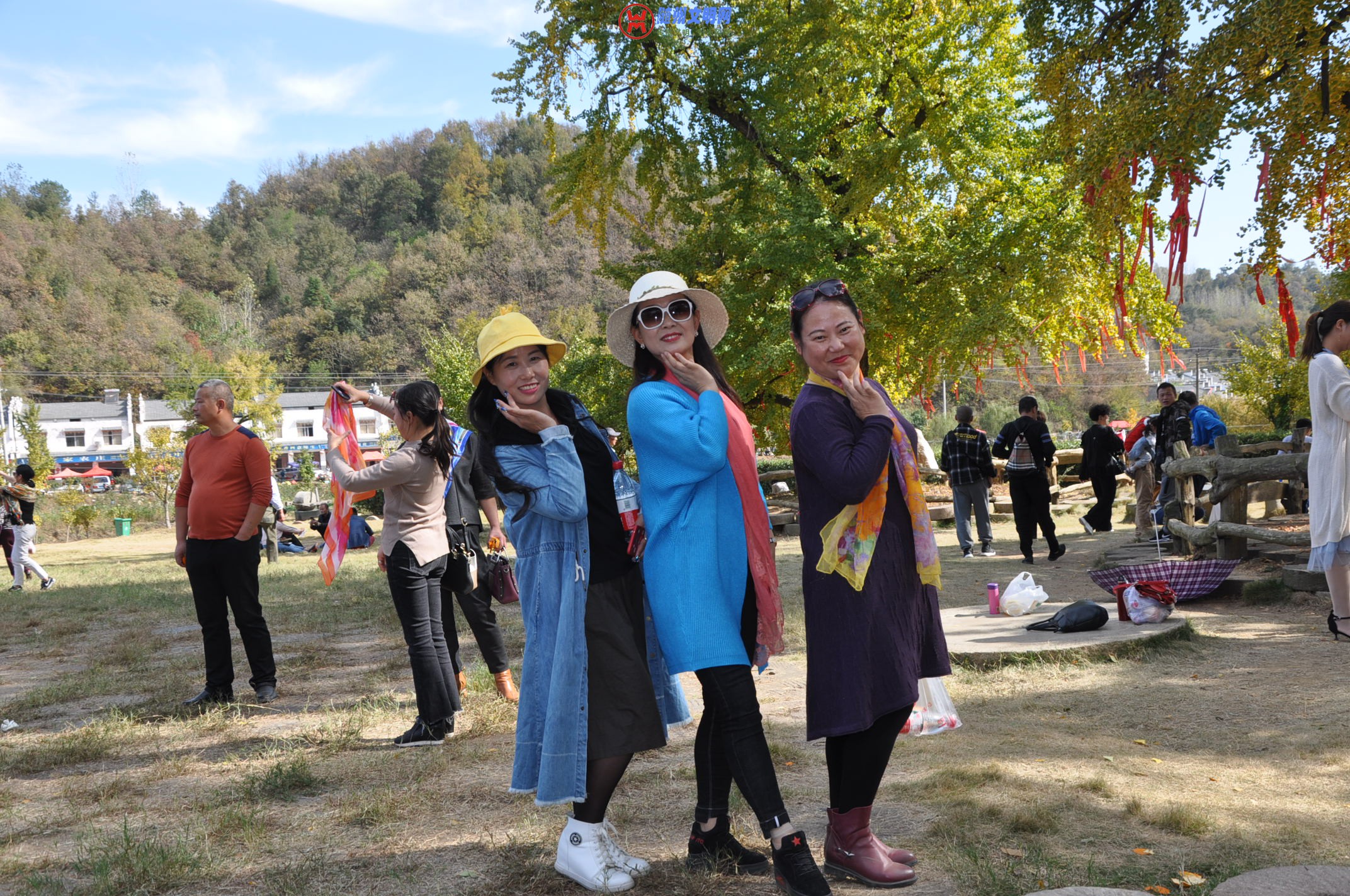 DSC_0193.JPG