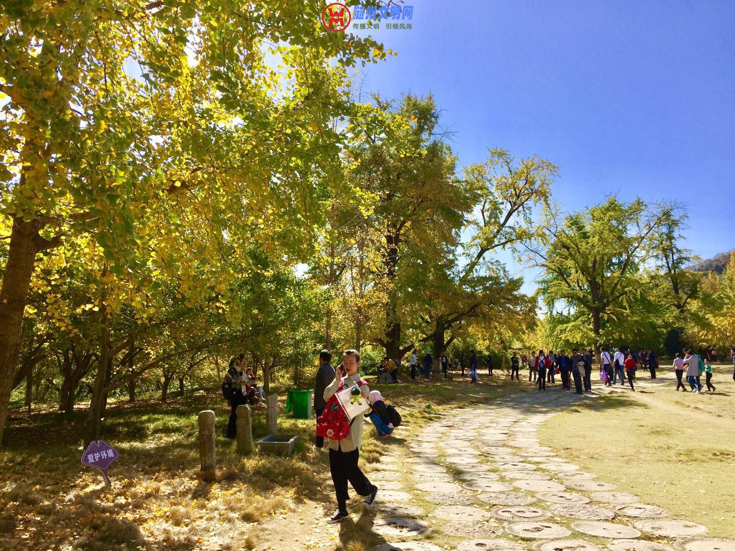 微信图片_20181027200831.jpg