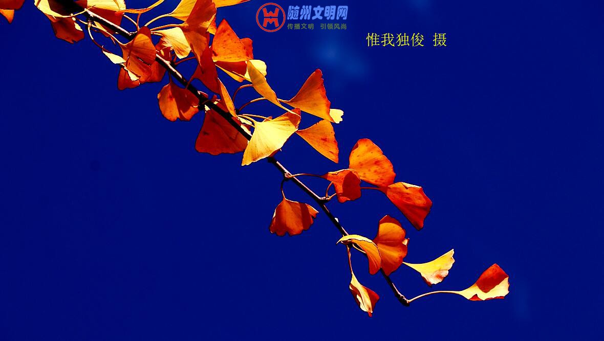 TIM截图20181030200721.jpg