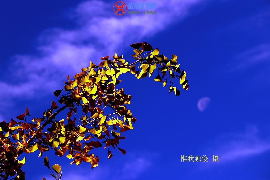 TIM截图20181030200912.jpg
