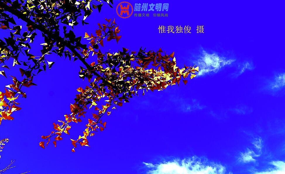 TIM截图20181030201224.jpg