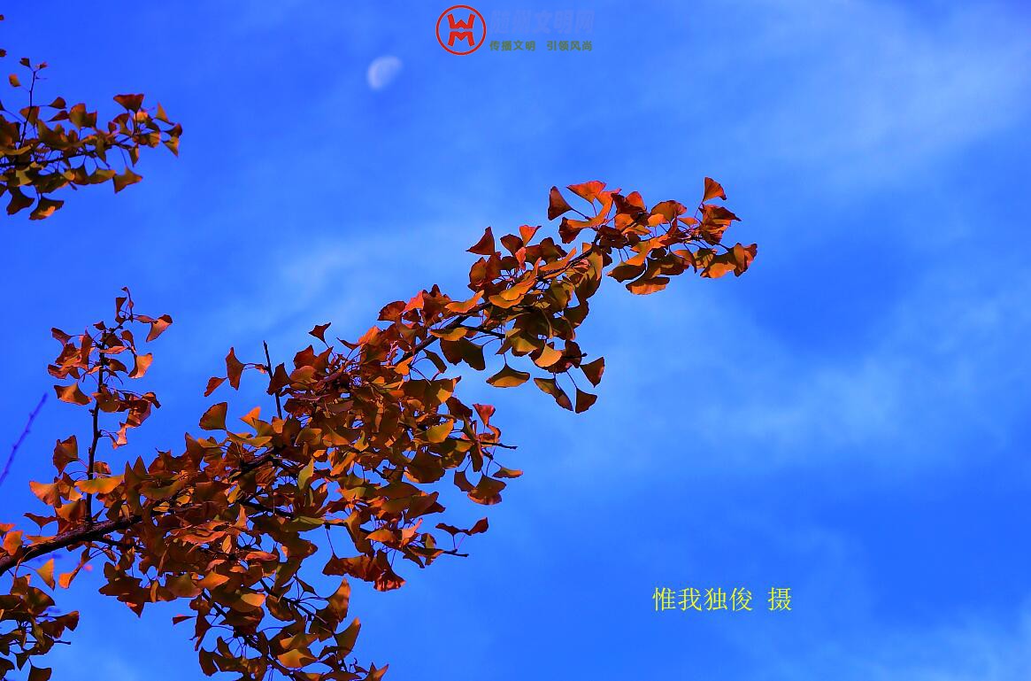 TIM截图20181030201357.jpg