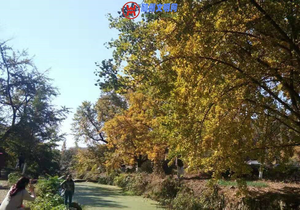 微信图片_20181101223811.jpg