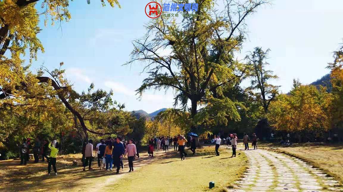 微信图片_20181101223819.jpg