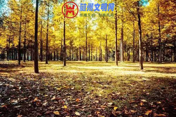 微信图片_20181014214655.jpg