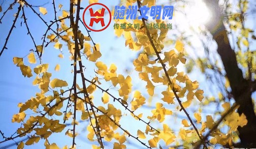 微信图片_20181101223625.jpg