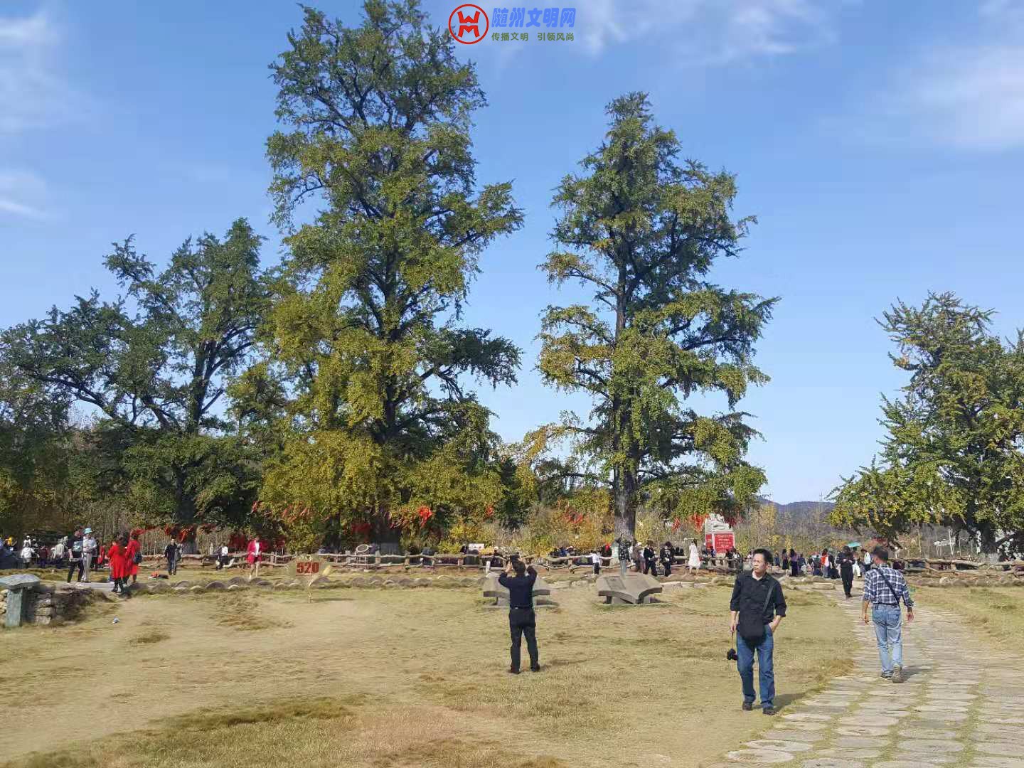 微信图片_20181101223720.jpg