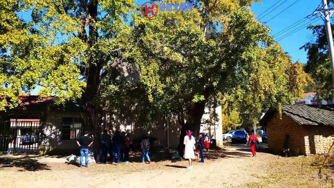 微信图片_20181101223733.jpg
