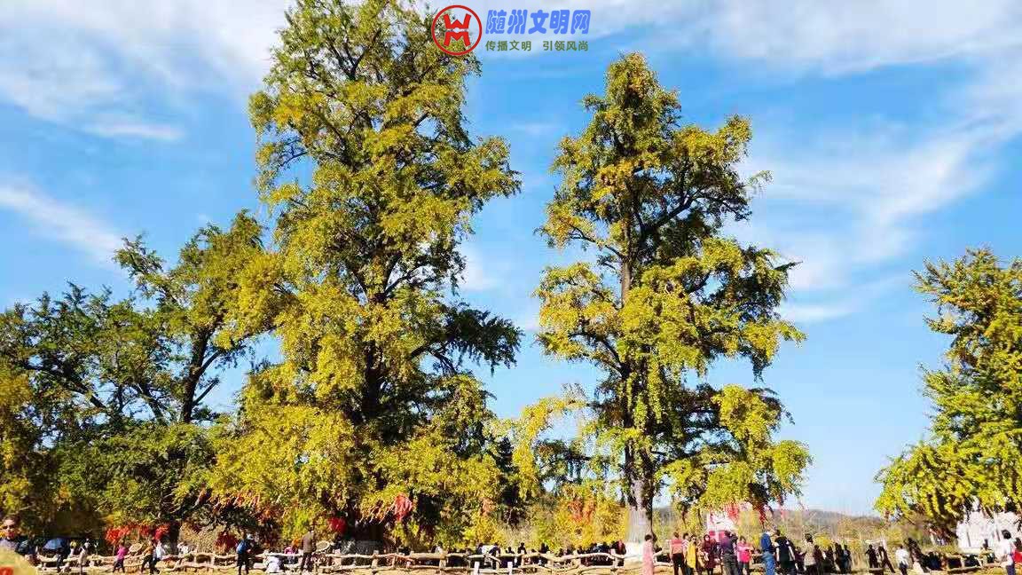 微信图片_20181101223758.jpg