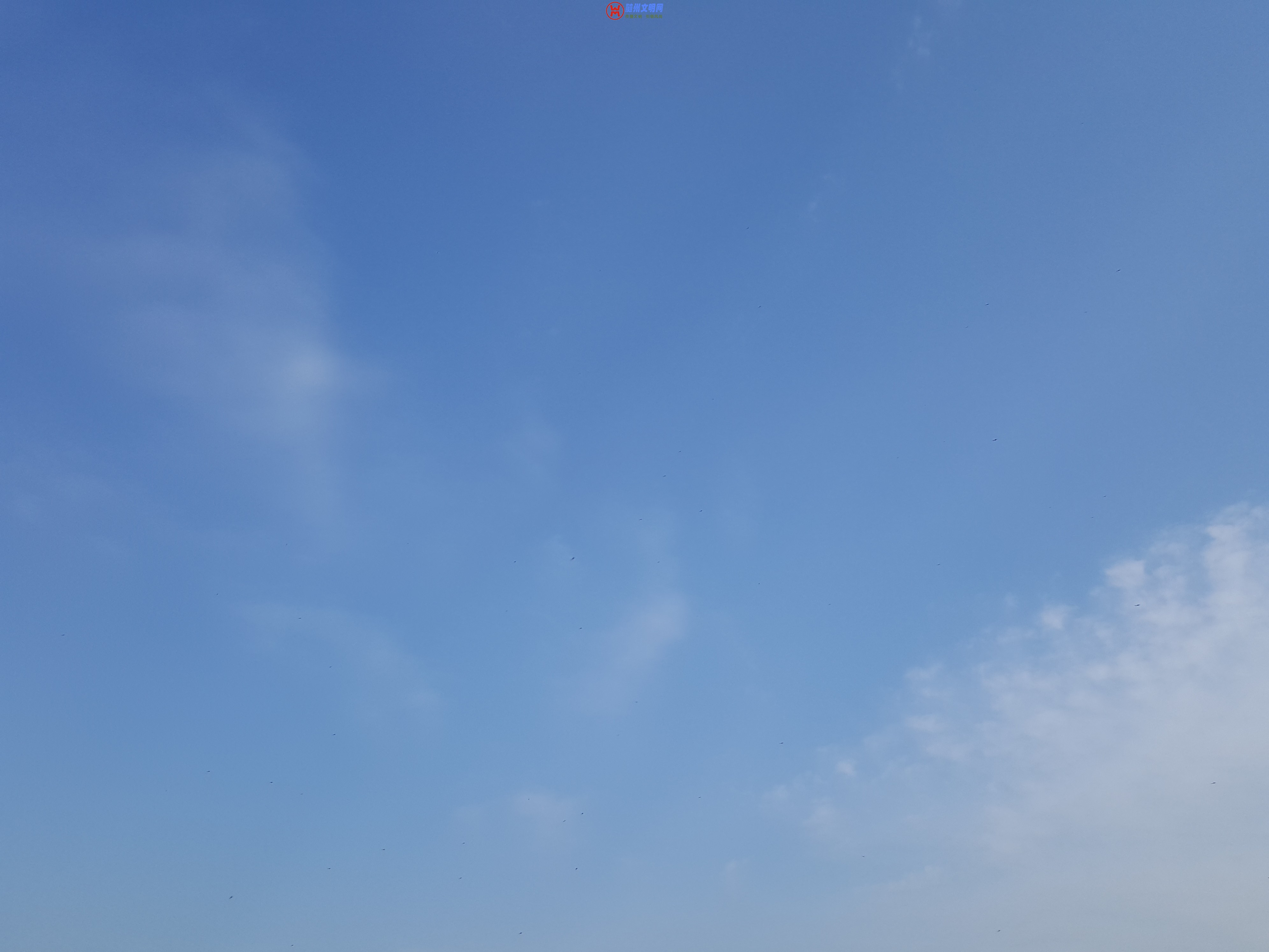 ΢ͼƬ_20181105110844.jpg